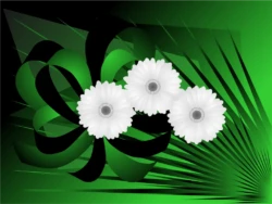 grafika