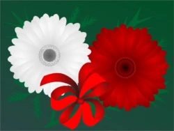 grafika