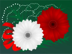 grafika