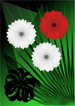 grafika
