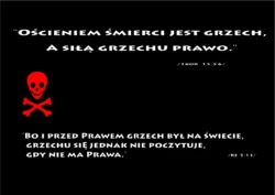 grafika