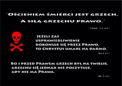 grafika